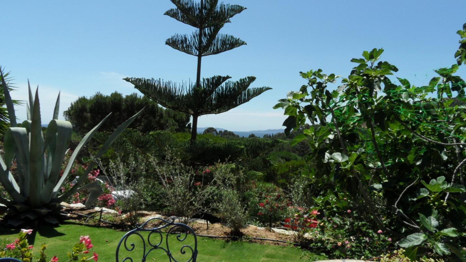 Villa Carpe Diem Le Lavandou Exterior photo